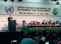 Copyright © United Nations, 2008. All Rights Reserved